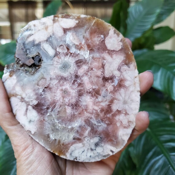 Pink Flower Amethyst Agate Purple Crystal Druzy Display Slice Slab | 254 grams