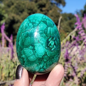 Malachite Chrysocolla  Polished Crystal Egg | A Grade | Hand-Picked | 308 Grams | 49mm