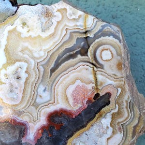 May include: A polished agate slice featuring concentric bands of white, cream, tan, and translucent gray. The stone displays a prominent dark brown to black central inclusion with vibrant red and orange accents along the inner layered edges.