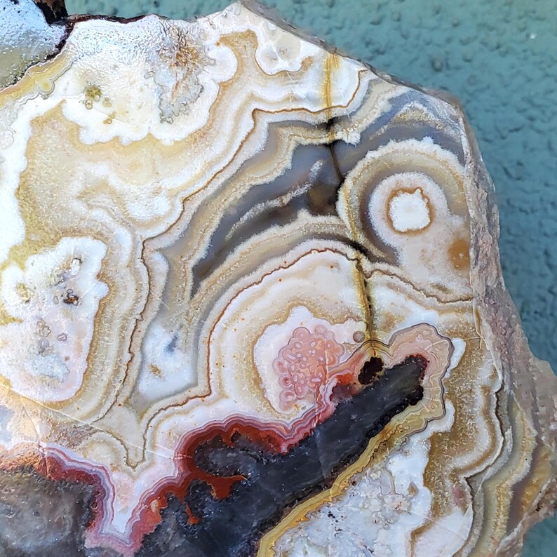 May include: A polished agate slice featuring concentric bands of white, cream, tan, and translucent gray. The stone displays a prominent dark brown to black central inclusion with vibrant red and orange accents along the inner layered edges.