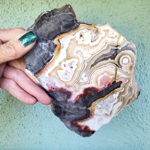 May include: A polished slab of agate stone featuring intricate, concentric banding in shades of cream, white, dark gray, and deep red. The mineral specimen displays a smooth, flat surface with natural geological patterns and varied color transitions.