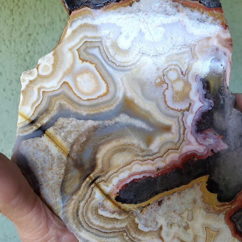 May include: A polished agate slab featuring intricate, concentric banding in shades of cream, white, translucent gray, and deep amber. The stone displays organic, wavy patterns with a smooth, glossy surface and a jagged, natural outer edge.