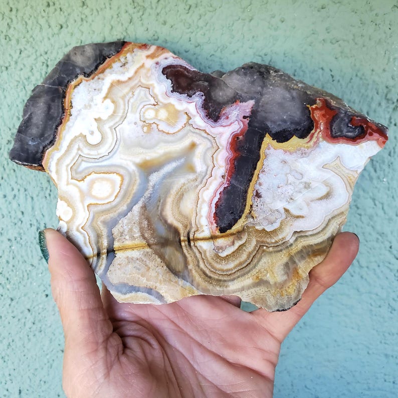 May include: A polished slab of agate stone featuring intricate, concentric banding in shades of white, cream, tan, dark brown, and deep red. The mineral specimen displays a natural, irregular shape with a smooth, glossy surface texture throughout.