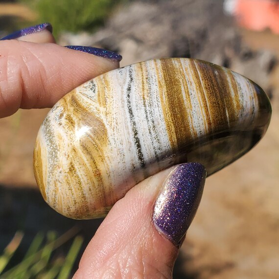 オーシャンジャスパー 希少な縞模様のフリーフォームパーム