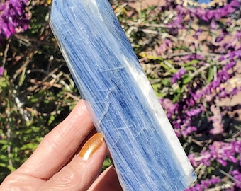 May include: A blue kyanite crystal with a pointed top. The crystal has a layered appearance with streaks of white and blue. The crystal is held in a hand with gold nail polish, with purple flowers in the background.
