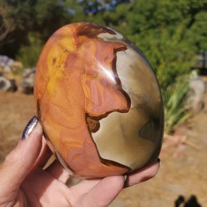 Op de afbeelding: Een gepolijste, ovaalvormige steen met een mix van kleuren waaronder oranje, bruin en crème. De steen heeft een glad, glanzend oppervlak en wordt in een hand gehouden tegen een vage groene achtergrond.