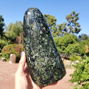 Kambaba Jasper Crystal Freeform | Green Stromatolite | XL | 1840 grams