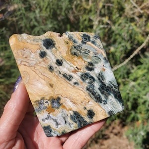 May include: A rectangular, polished stone with a natural pattern of tan, black, and green swirls and spots. The stone has a slightly irregular edge and a smooth, glossy surface, showcasing its unique mineral composition.