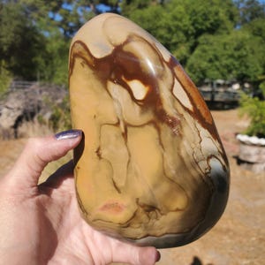 May include: A polished, oblong stone with a smooth surface. The stone features a blend of tan, brown, and cream colours with intricate patterns. The stone is held in a hand, showcasing its size and shape. The natural stone is likely a decorative item.