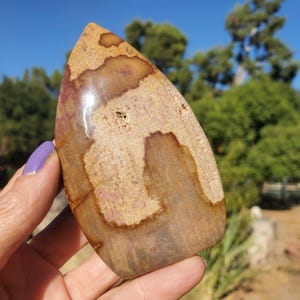 May include: A polished, teardrop-shaped gemstone with a mix of tan, brown, and reddish-pink hues. The stone has a smooth, glossy surface with unique patterns and textures, ideal for collectors or jewelry making.