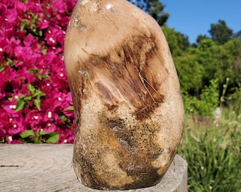 4lbs+ Dinosaur Dino Gembone Agatized Jasper Freeform Standing | Hand Picked A Grade | 2240 grams | 4lbs 15oz