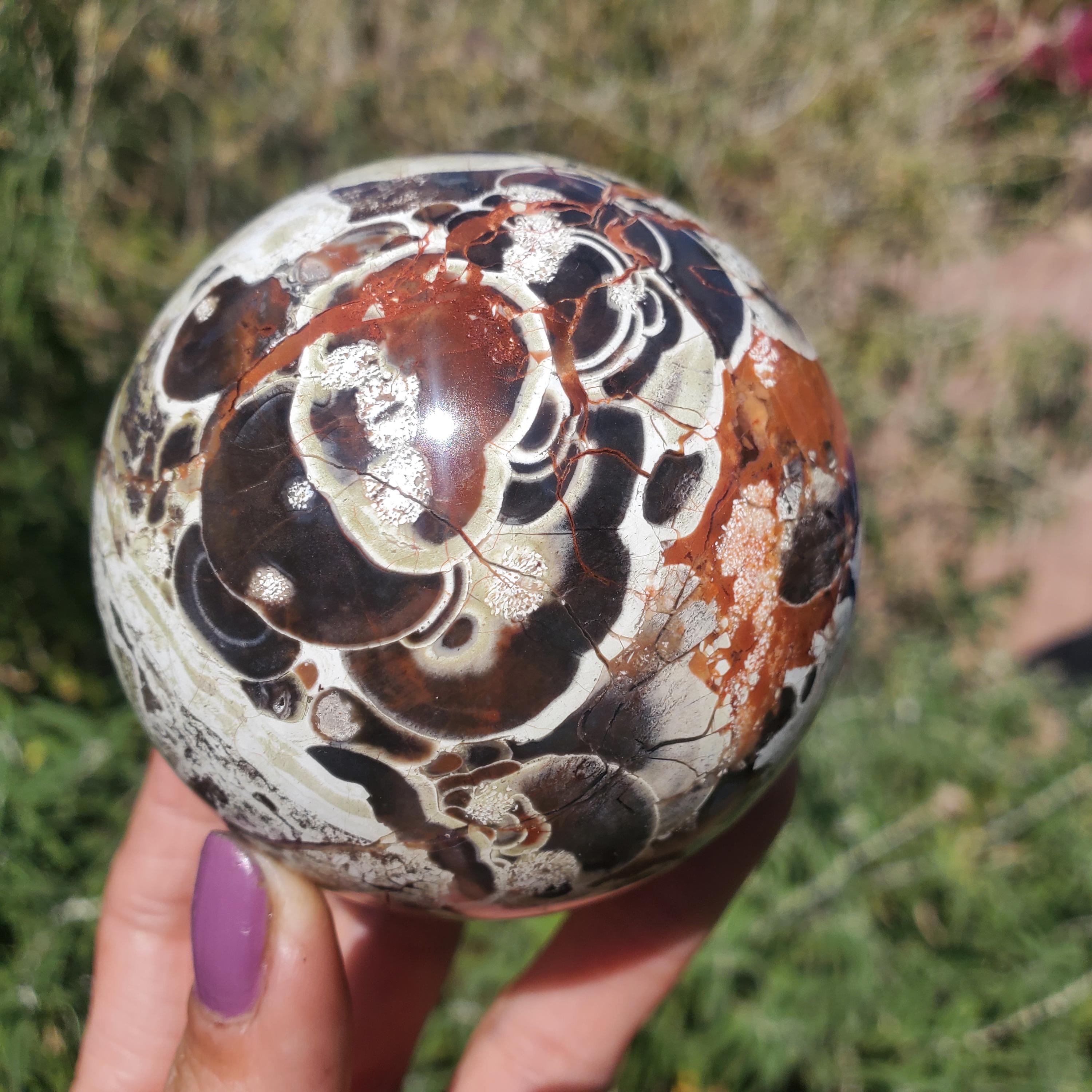 Money Coin Agate Crystal Sphere | AA Grade | 476 Grams 74 MM