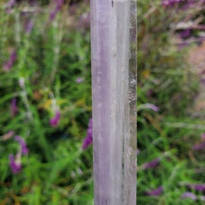 May include: A vertical, clear crystal with a pale purple hue. The crystal is rectangular with multiple facets, reflecting light. The background is blurred, showing green foliage and purple flowers.