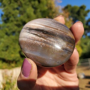Ocean Jasper Rare Color Freeform Palm Stone Hand Picked | A Grade | 104 Grams