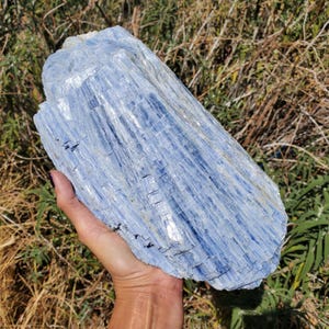 Op de afbeelding: Een groot, ruw kyaniet kristalexemplaar met een duidelijke bladstructuur in verschillende tinten licht tot diepblauw. Het mineraal vertoont een gestreepte, vezelige textuur met een reflecterende, glasachtige glans over het langwerpige oppervlak.