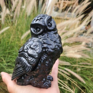 特別限定1点フクロウ隕石入り皆に愛され人間関係円満プレート 現在、この商品の在庫はありません - Etsy