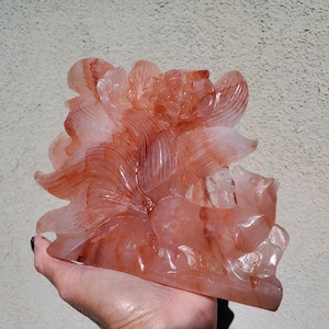May include: A carved, translucent, reddish-orange crystal sculpture of a flower. The sculpture is held in a hand, showcasing the intricate details of the petals and the overall floral design. The crystal has natural striations.