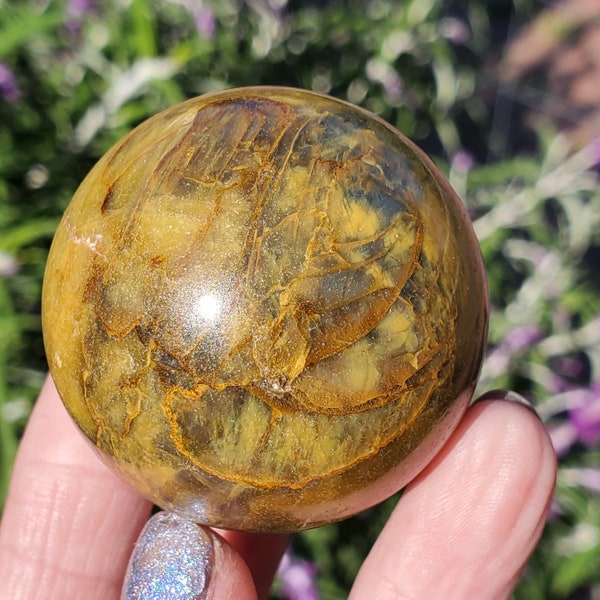 Namibian Pietersite Crystal Sphere 222 grams | 45MM | AA Grade