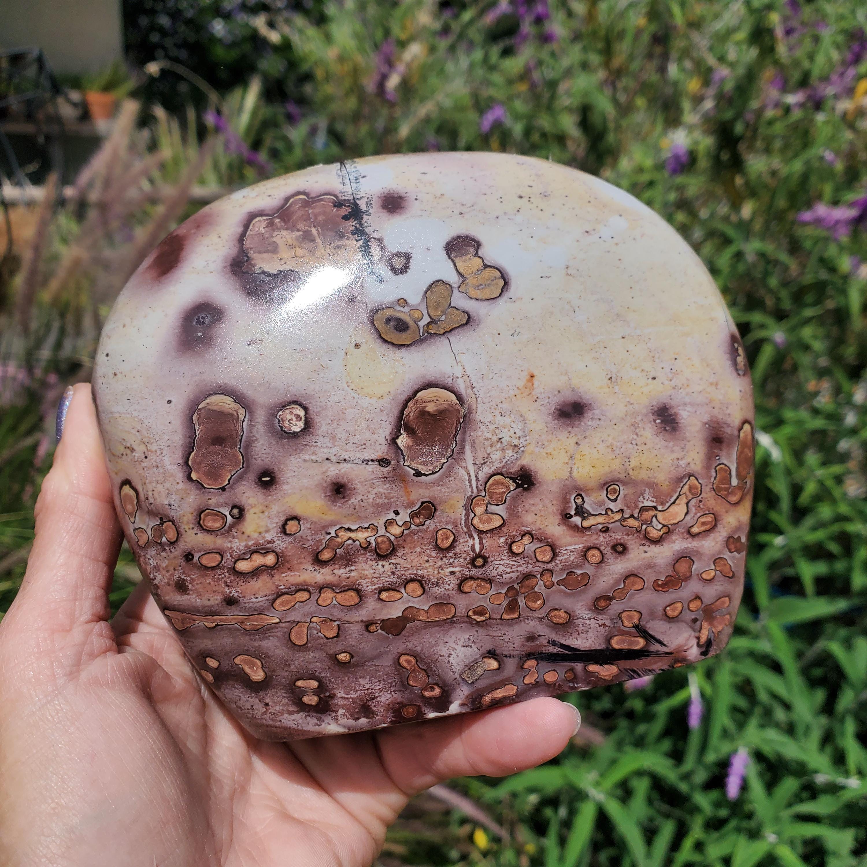 Picture Stone Jasper Dendritic Dendrite Display Freeform | 3lbs 1oz  | 1330 Gram