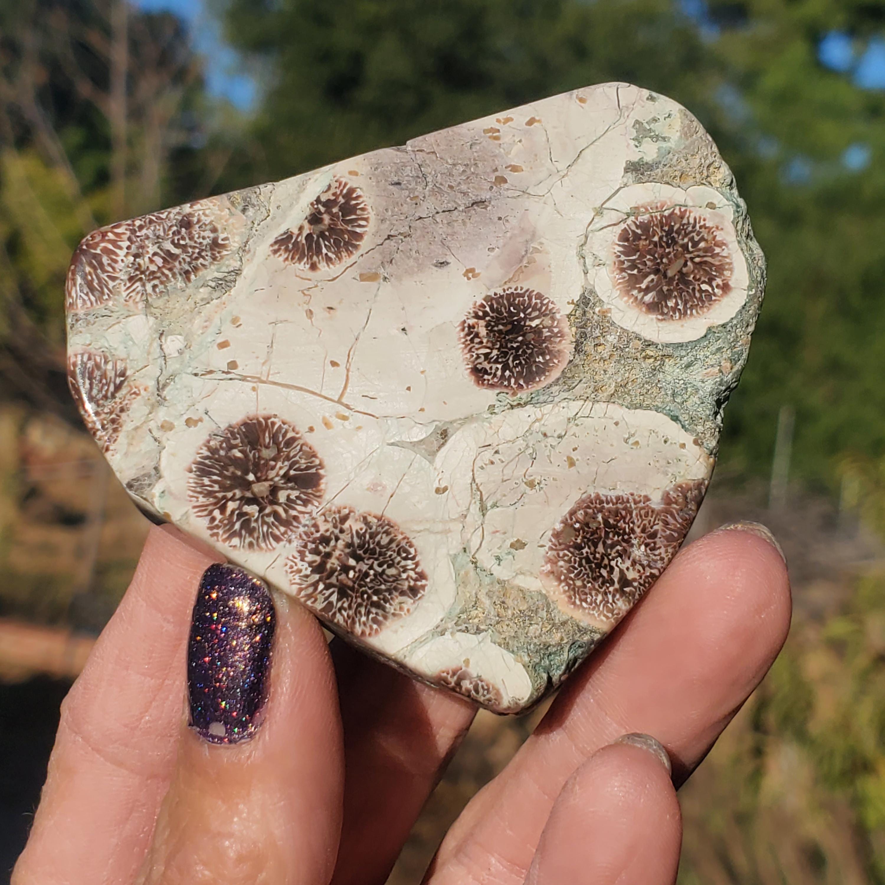 パワーストーン Rhyolite Green Flower Firework Jasper Freeform Rare Sakura Stone