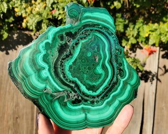 Large Malachite Polished Crystal Cabinet Slice Slab Specimen |  | 442 Grams | 1lbs