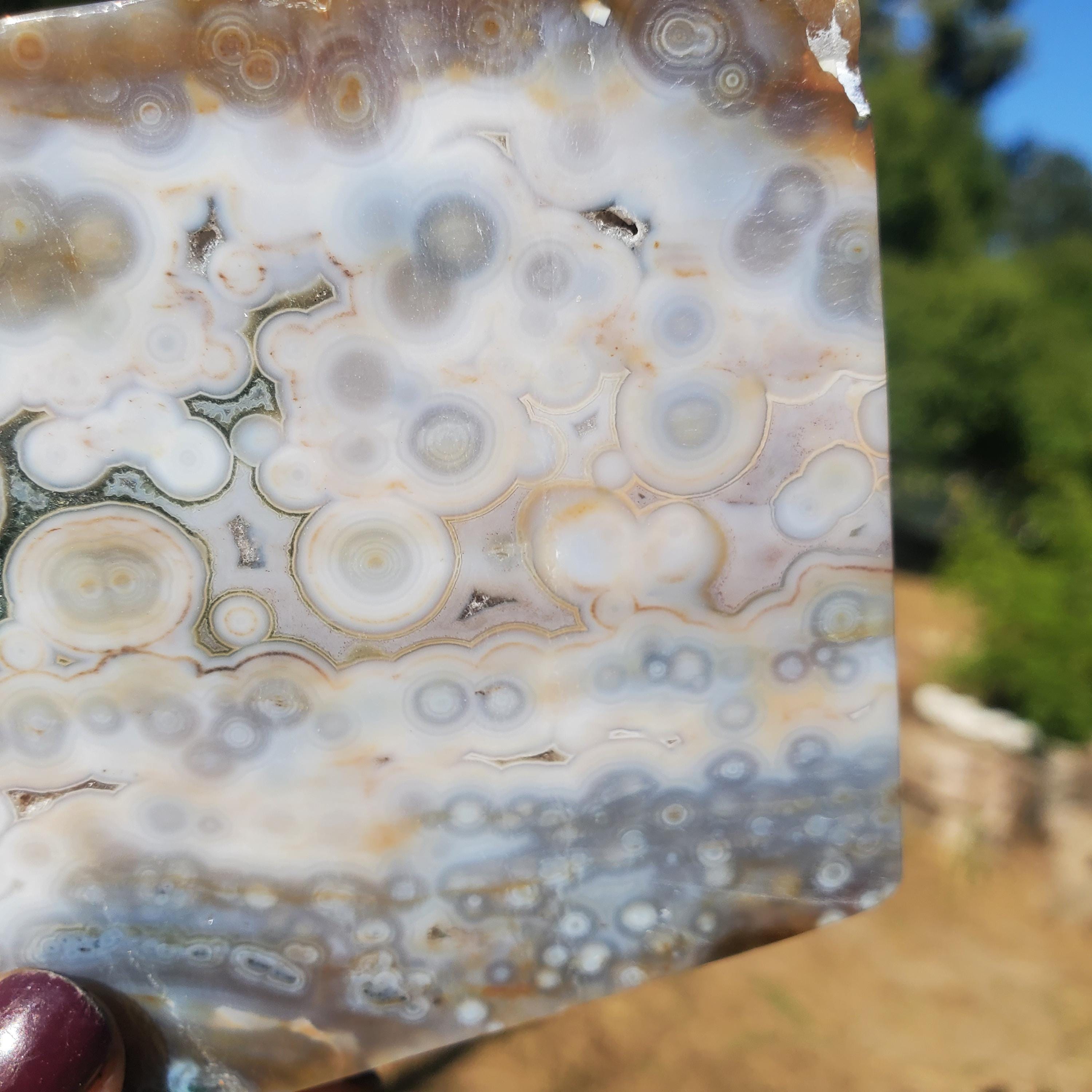 【超希少‼️】オールドストック　オーシャンジャスパー オーシャンジャスパー オールドストック カンベイビーアゲート オービ