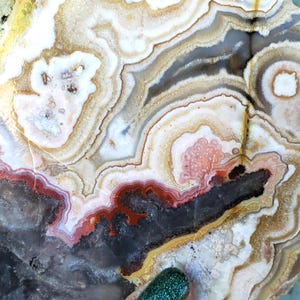May include: A polished agate slice featuring concentric bands of white, cream, tan, and deep red colors. The stone displays intricate, wavy patterns and a dark, textured central cavity with crystalline formations throughout the mineral surface.