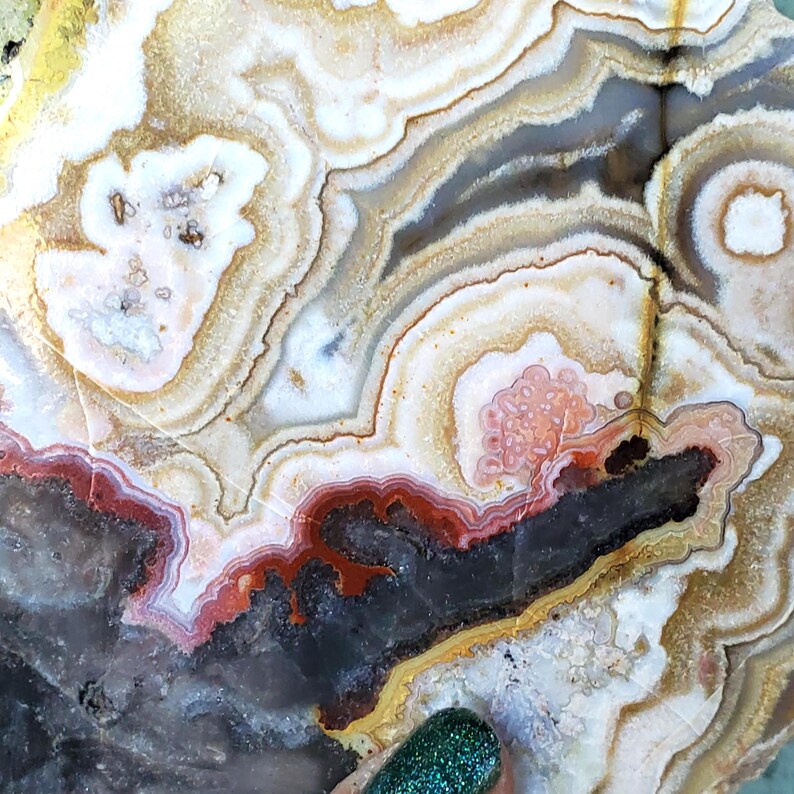 May include: A polished agate slice featuring concentric bands of white, cream, tan, and deep red colors. The stone displays intricate, wavy patterns and a dark, textured central cavity with crystalline formations throughout the mineral surface.