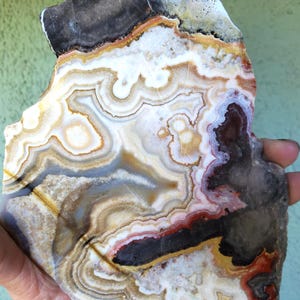 May include: A polished slab of agate stone featuring intricate, concentric banding in shades of cream, white, translucent gray, deep brown, and vibrant orange. The mineral specimen displays a natural, irregular shape with a smooth, glossy surface.