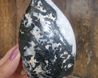 Puede incluir: Una piedra en forma de lágrima con un patrón moteado en blanco y negro. La superficie pulida de la piedra tiene un brillo brillante. La piedra se sostiene en una mano, con un fondo de madera.