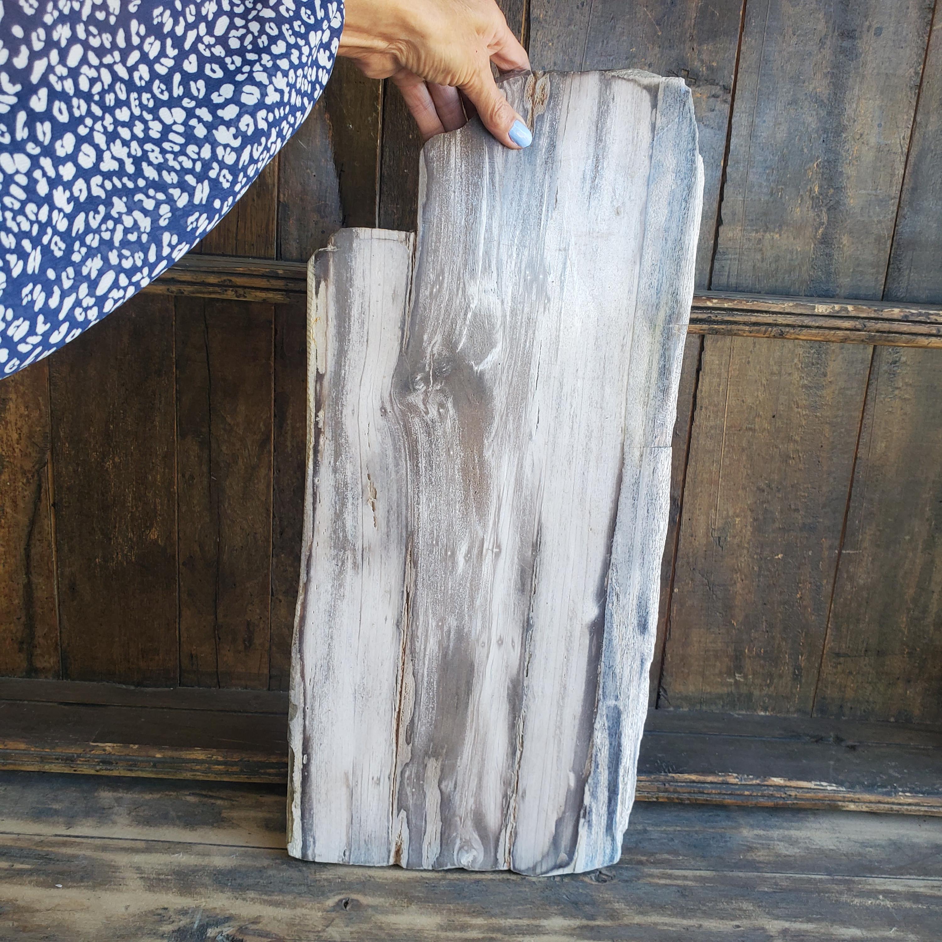 Petrified Wood Tray - Etsy