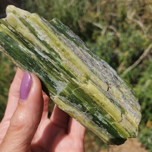 Raw Green Tremolite Crystal Pakistan Mined Specimen l  A Grade  174 grams