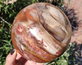 Petrified Wood Fossil Crystal Sphere Large | 2110 Grams | 4lbs 11oz | 116mm