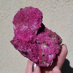 May include: A vibrant, fuchsia-colored mineral specimen with a crystalline structure. The rock has a rough, textured surface with areas of lighter pink and hints of brown. The mineral is held in a hand, showcasing its natural form and color.
