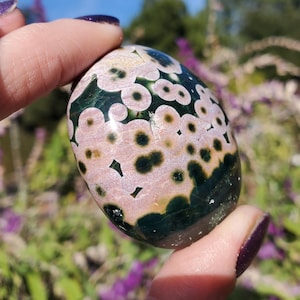Kambaby PINK Orbicular Ocean Jasper Old Stock 8th Vein RARE Orbicular Freeform Palm Stone | 64 grams AA Grade