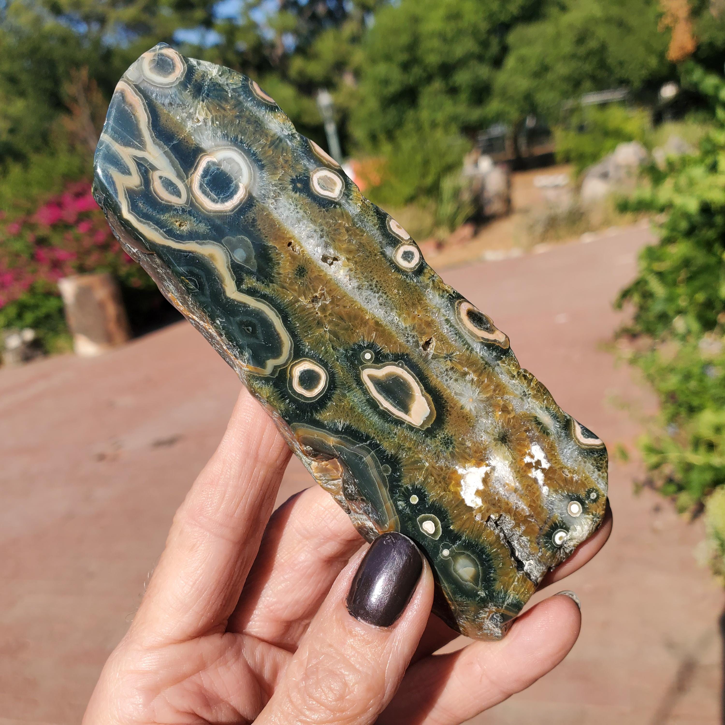 8 Ader Kambaby Ozean Jaspis Old Stock Orbicular Freeform Slab Scheibe 114 Gramm
