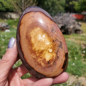 Może przedstawiać: Gładki, wypolerowany, owalny kamień z brązowym, pomarańczowym i żółtym wzorem. Kamień ma ciemnobrązową obwódkę wokół krawędzi.