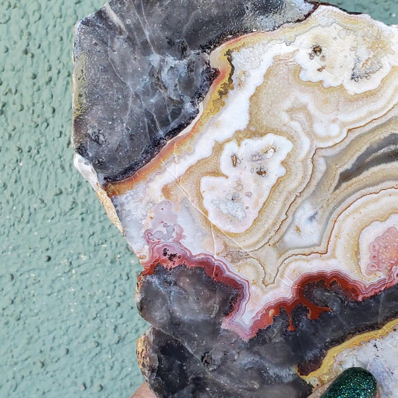 May include: A polished agate slice featuring concentric bands of translucent gray, opaque white, cream, and deep red. The stone displays a natural crystalline texture with varied mineral deposits, showcasing organic patterns and earthy color gradients.