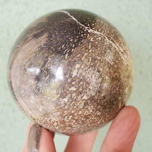 Dinosaur Gembone Dinobone Fossil Sphere Agatized Bone Orb 406 Grams  66mm