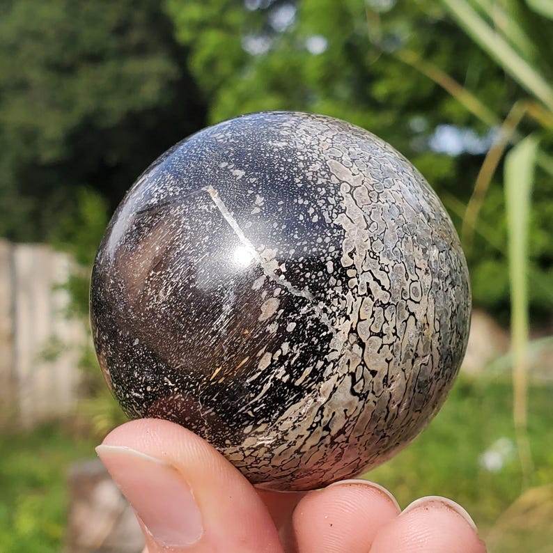 Dinosaur Gembone Dinobone Fossil Sphere Agatized Bone 220 Grams - Etsy