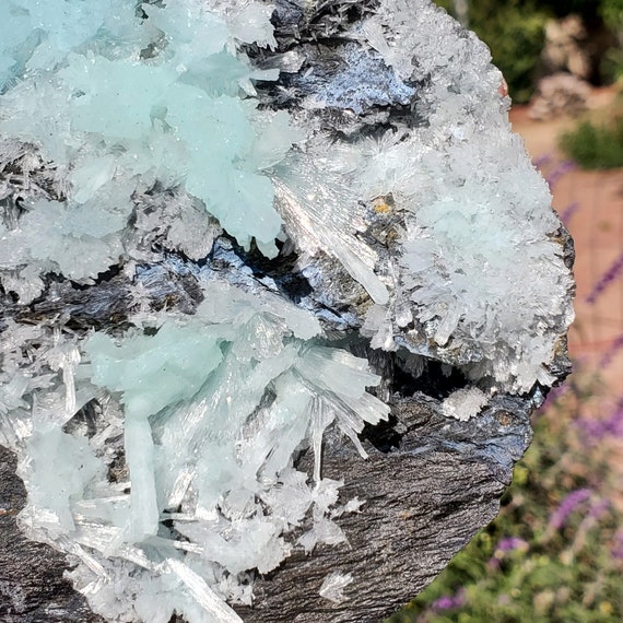 超特大　アラゴナイト マトリックス上の大きなアラゴナイトソフトブルーキャビネット標本