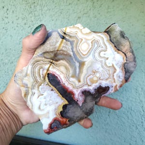 May include: A polished slab of agate stone featuring concentric bands of white, cream, tan, and dark brown, with a prominent deep red and purple crystalline center. The mineral specimen displays intricate natural patterns and varied color gradients.