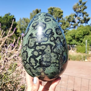 8lbs+ Kambaba Jasper Crystal Egg | Green Stromatolite | XL | 3890 grams