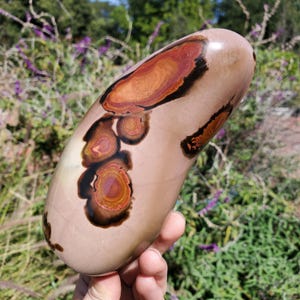 May include: A polished, oblong stone with a beige base colour and striking patterns of brown, orange, and black. The stone's surface is smooth and features concentric ring-like designs, creating a unique and natural aesthetic. The stone is held in a hand.