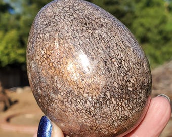 Puede incluir: Una piedra pulida en forma de huevo que presenta una red densa e intrincada de patrones orgánicos de color marrón oscuro y bronceado en toda su superficie, con un acabado liso y reflectante que capta la luz.