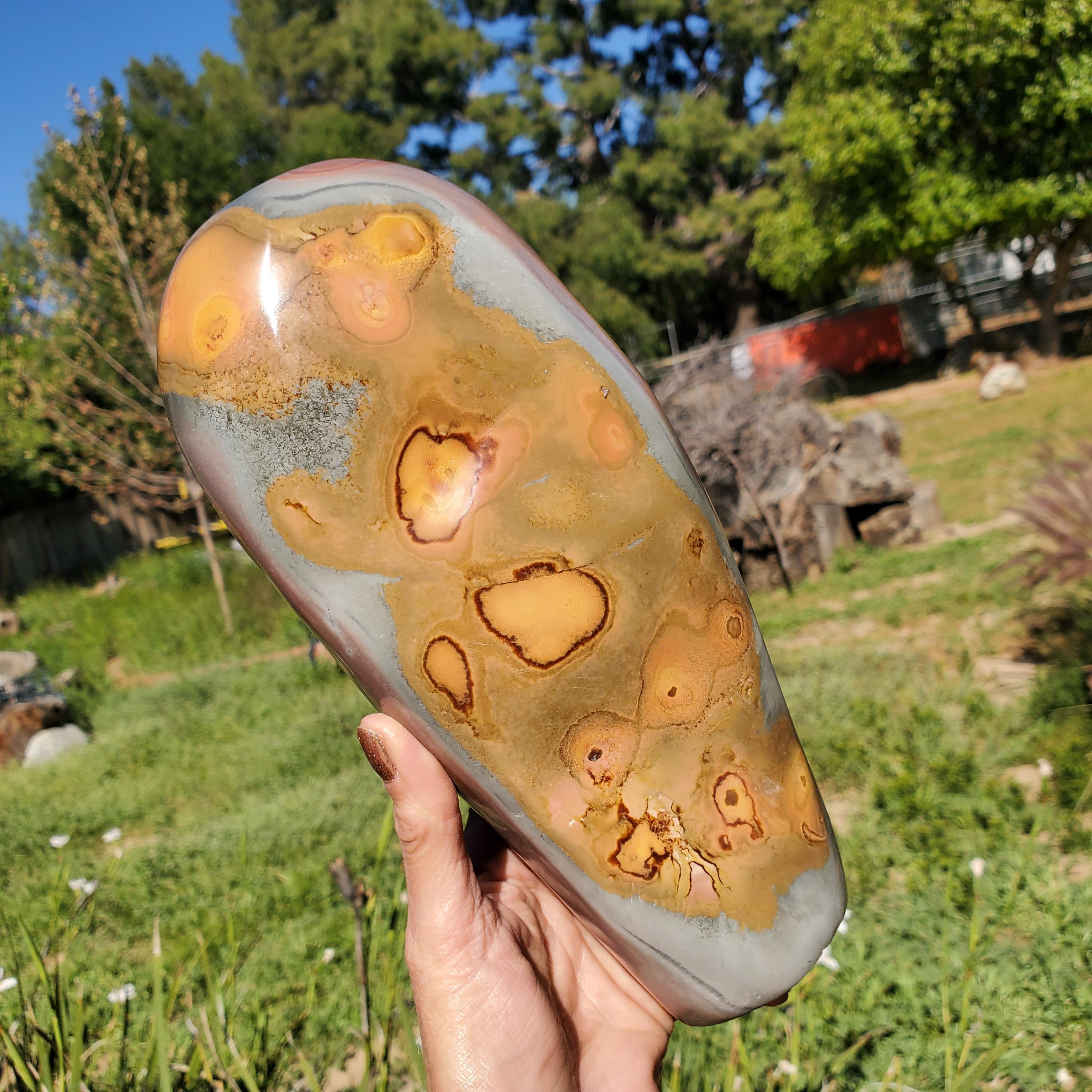5lbs+ Blue Polychrome Jasper Crystal Statement Freeform Standing