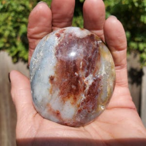 Ocean Jasper Rare Color Freeform Palm Stone Hand Picked | A Grade | 164 Grams