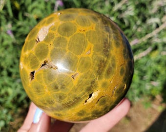 Ocean Jasper Sphere Old Stock Seventh Vein Kambaby Orbicular | 542 grams