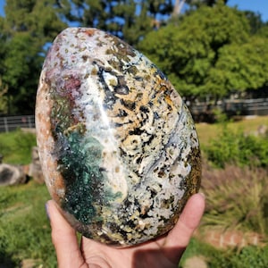 XL Ocean Jasper Standing Druzy Freeform  Crystal w/ Druzy Caves | 1610 Grams