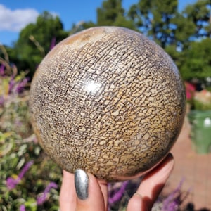 May include: A polished, spherical stone with a beige and brown patterned surface. The sphere is held in a hand, with a background of green trees and a blue sky. The stone's surface has a unique, textured appearance.
